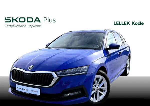 skoda octavia Skoda Octavia cena 105900 przebieg: 43990, rok produkcji 2022 z Kartuzy